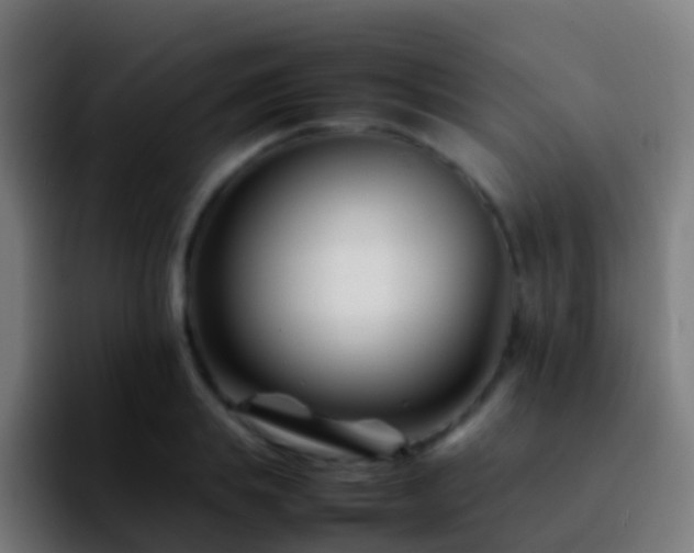 X0000092270839200709211135