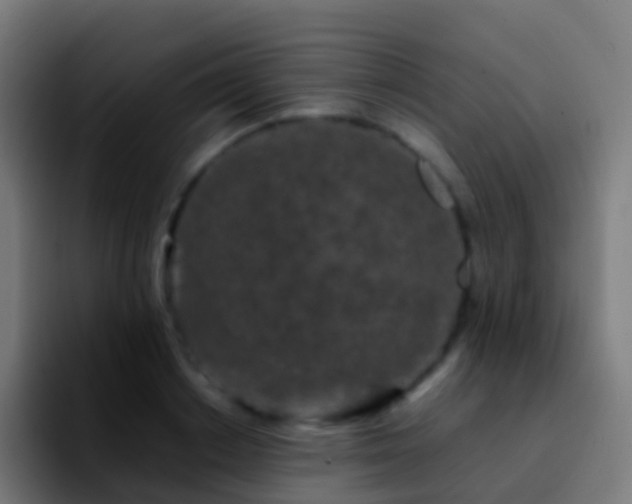 X0000092270842200709211136