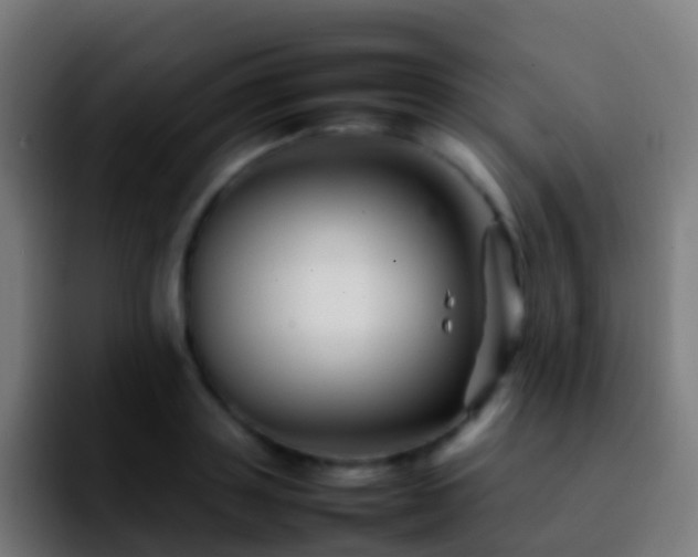 X0000092270843200709211136