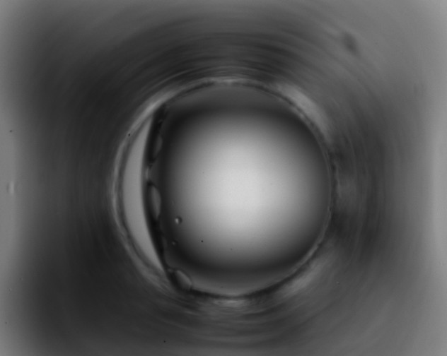 X0000092270845200709211136