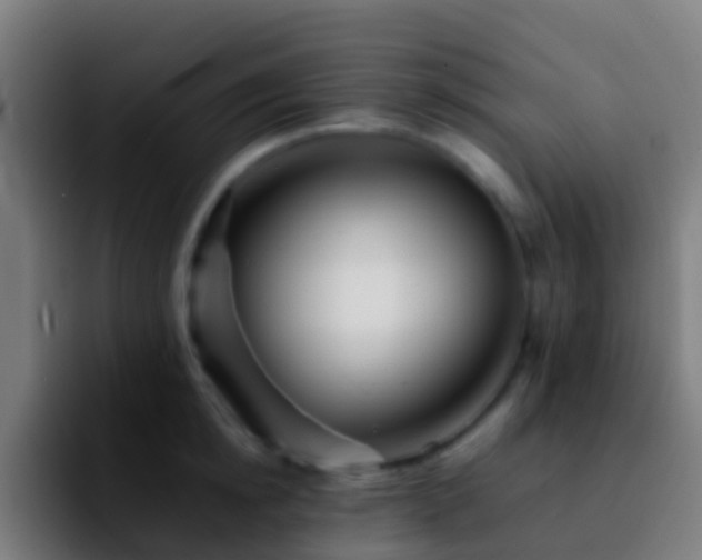X0000092270854200709211136