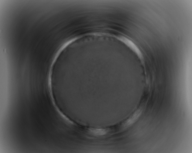 X0000092270855200709211136