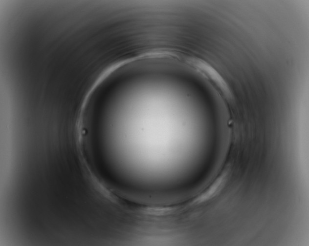 X0000092270860200709211136