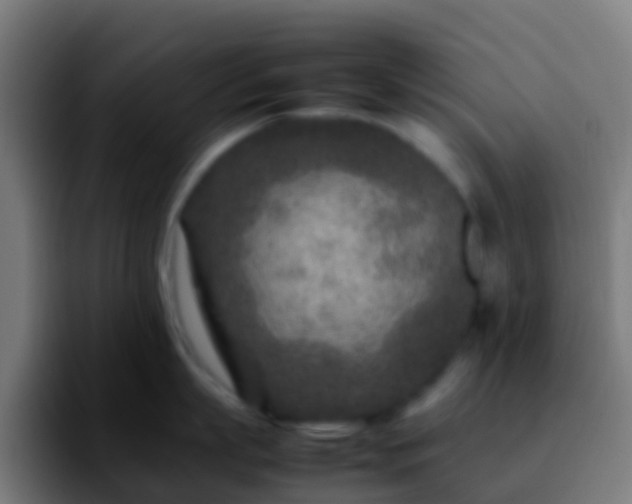 X0000092270863200709211136