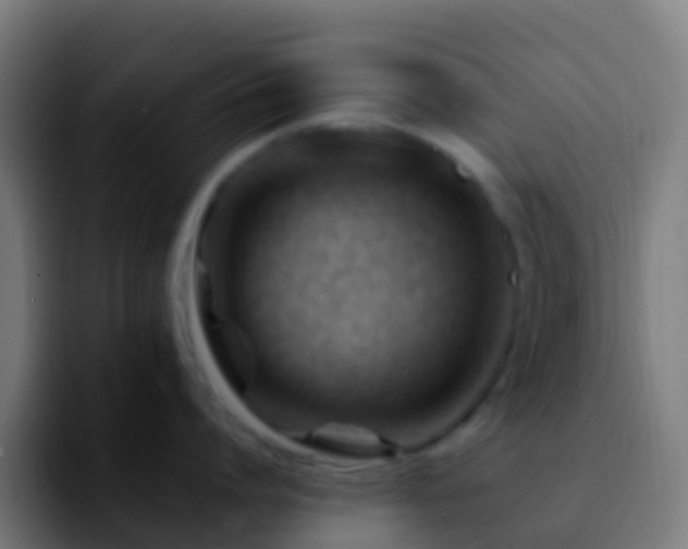 X0000092270864200709211136