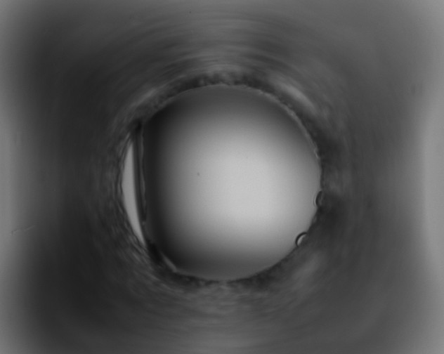 X0000092270869200709211135