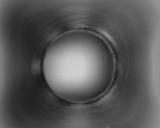X0000092270873200709211135