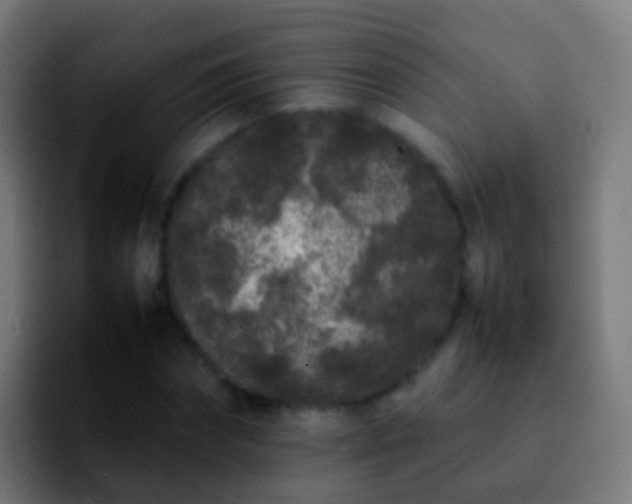 X0000092270874200709211135