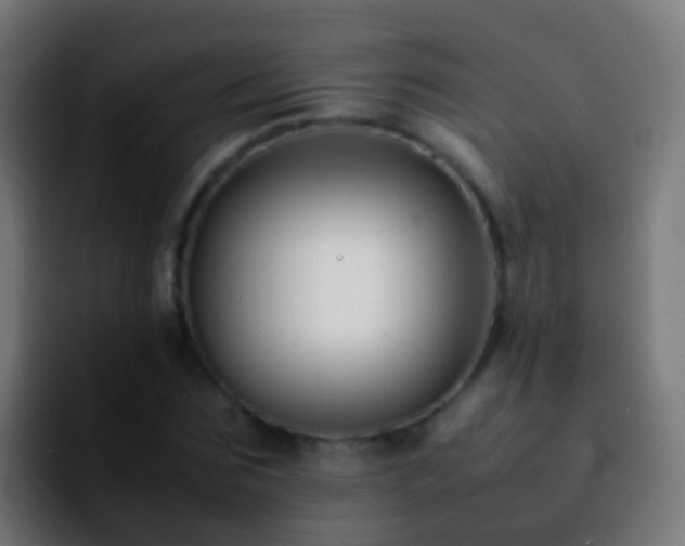 X0000092270875200709211135