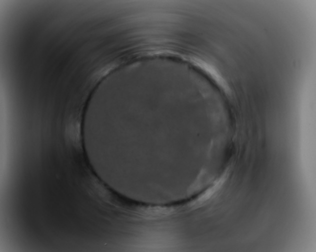 X0000092270881200709211135