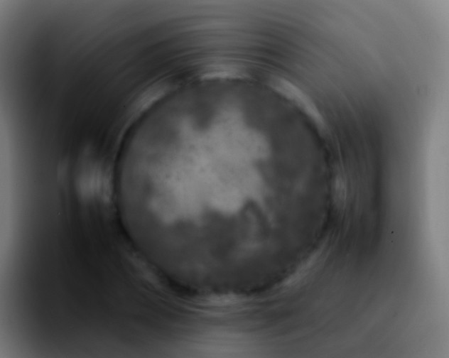 X0000092270882200709211135