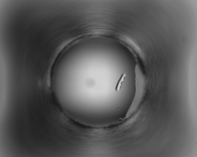X0000092270883200709211135