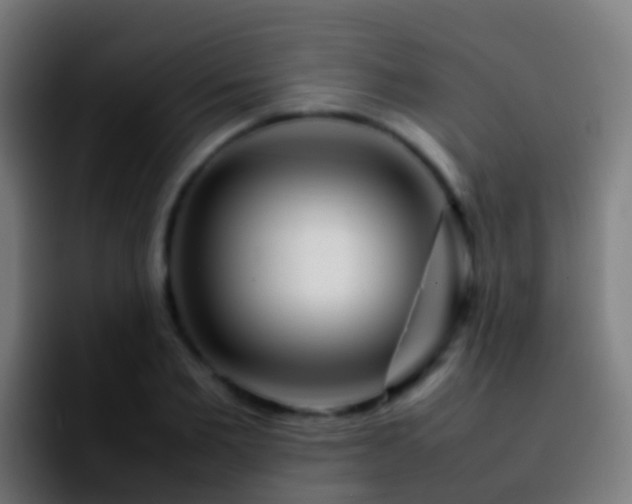 X0000092270885200709211135
