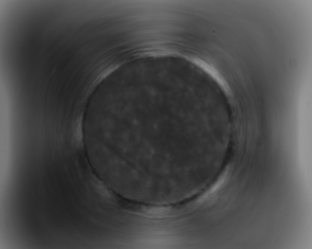 X0000092270889200709211135