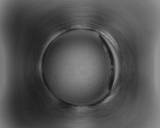 X0000092270893200709211135