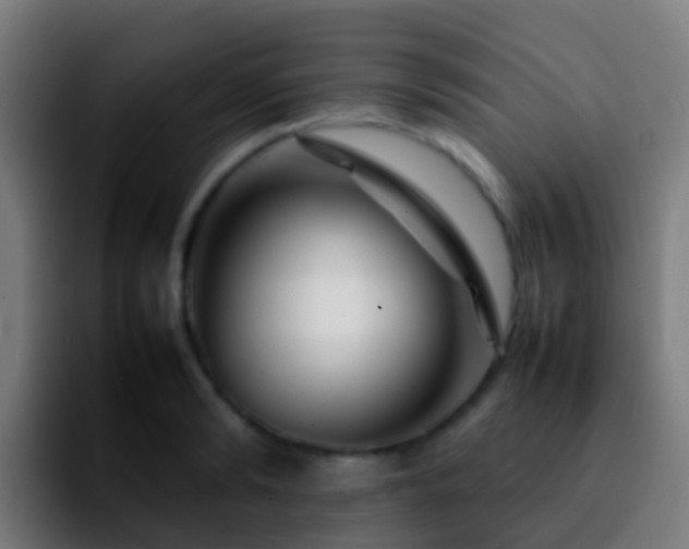 X0000092270894200709211135