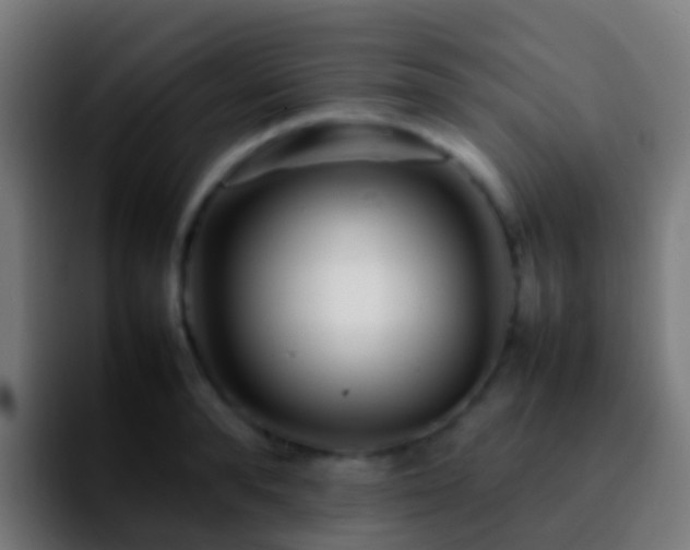 X0000092270896200709211135