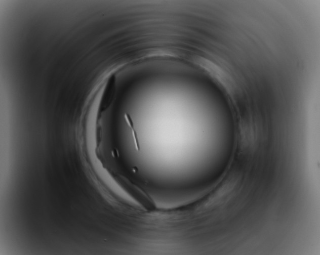 X0000092270898200709211135