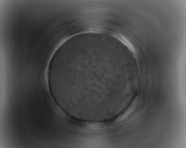 X0000092270899200709211135
