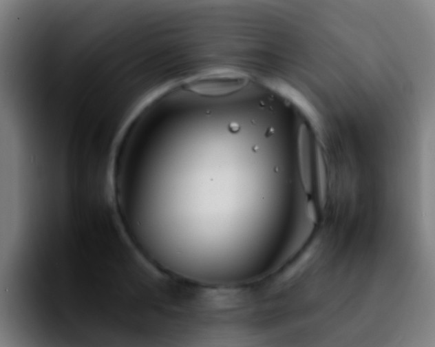 X0000092270902200709211135