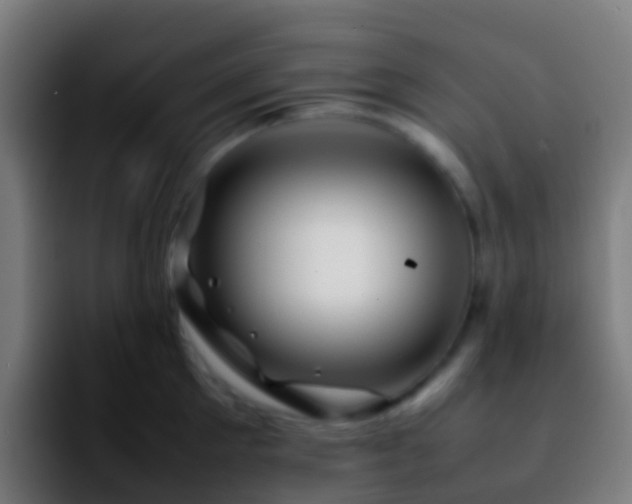X0000092270905200709211135