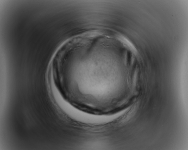 X0000092270907200709211135