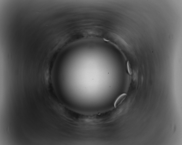 X0000092270915200709211134