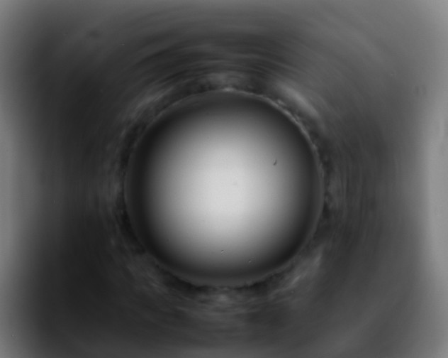 X0000092270917200709211134