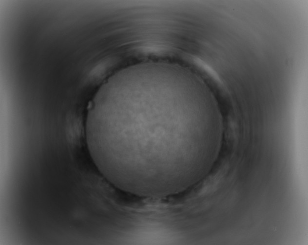 X0000092270918200709211134