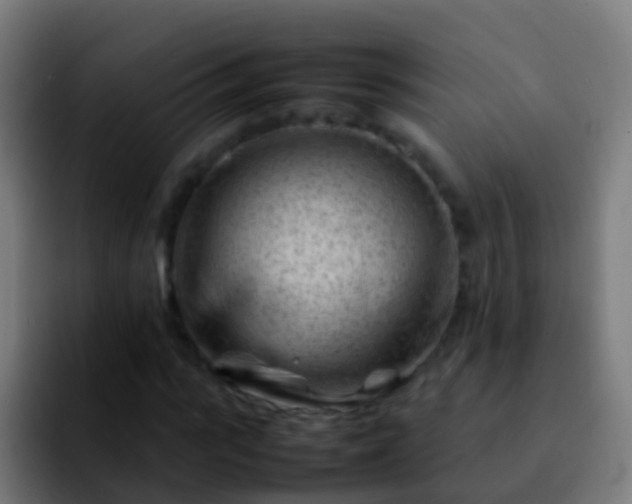 X0000092270919200709211134