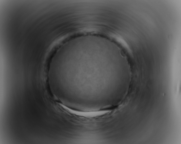 X0000092270920200709211134