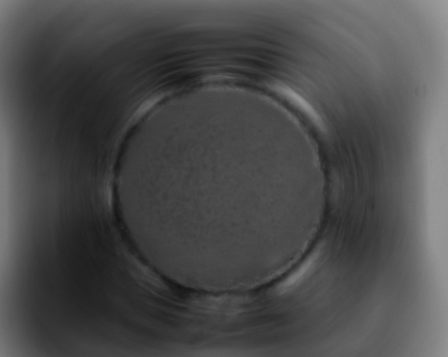 X0000092270921200709211134