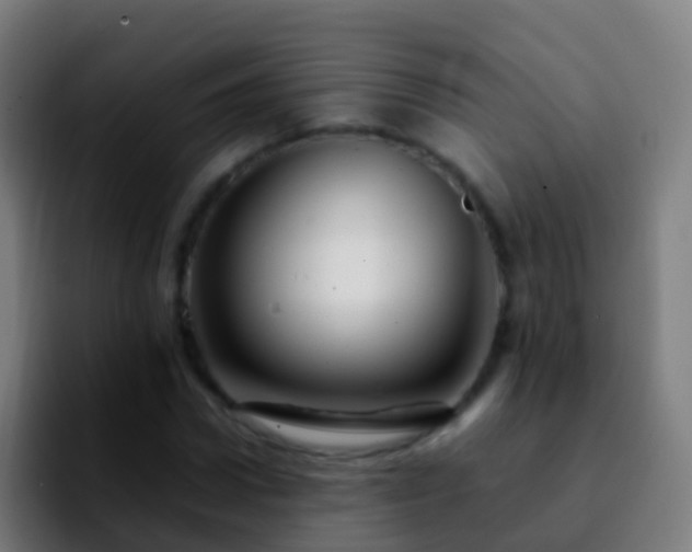 X0000092270922200709211134
