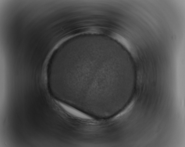 X0000092270923200709211134