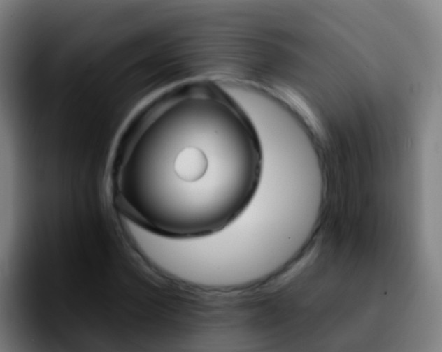 X0000092270924200709211134