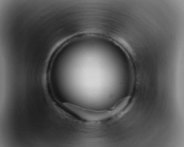 X0000092270928200709211134