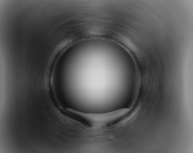 X0000092270930200709211134
