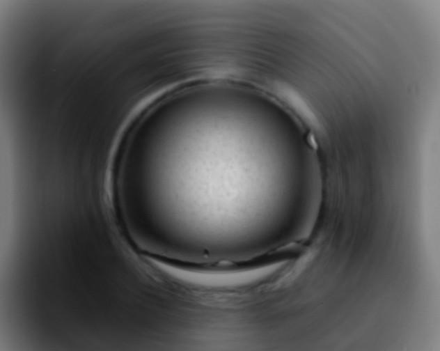 X0000092270932200709211134