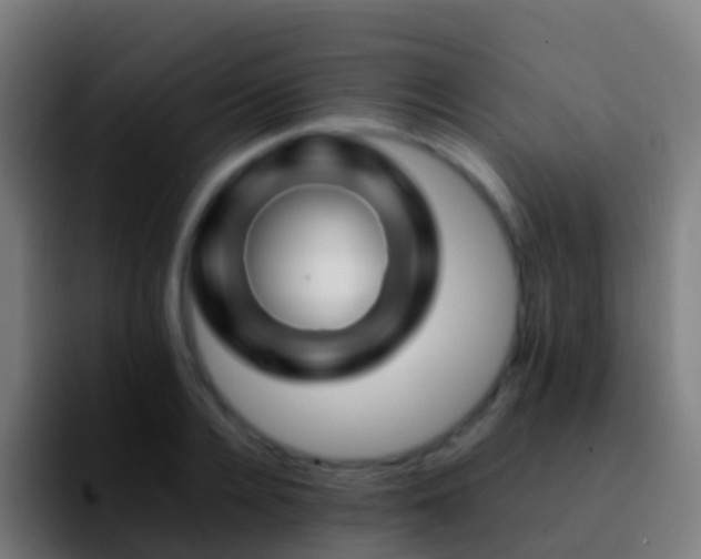 X0000092270936200709211134