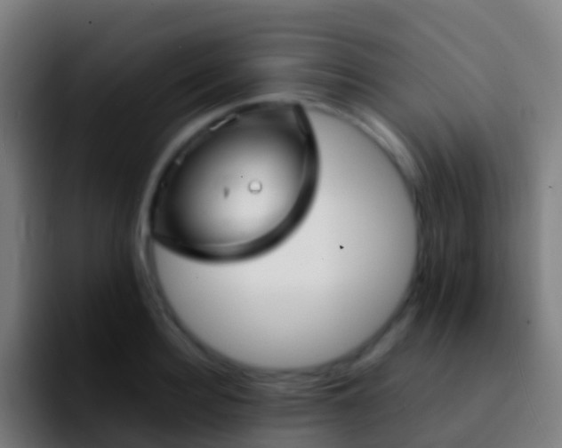 X0000092270940200709211134