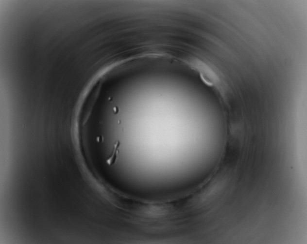 X0000092270947200709211135