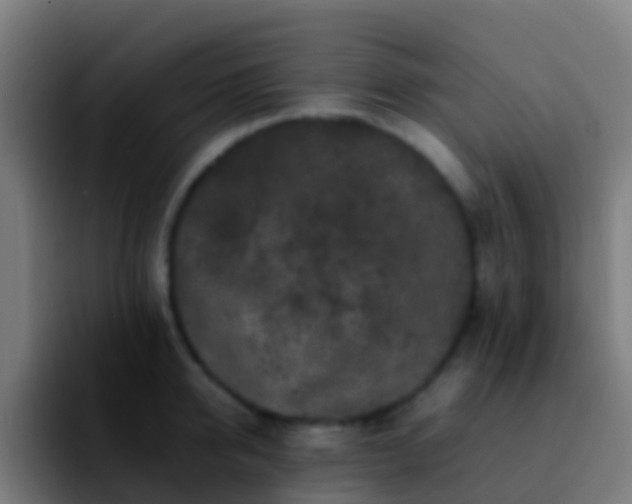 X0000092270950200709211135