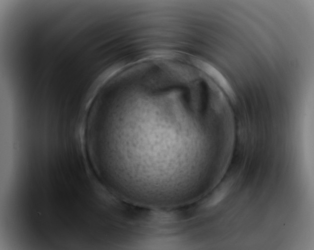 X0000092270954200709211135
