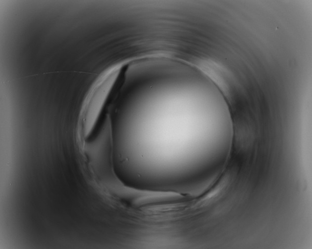 X0000092270956200709211135