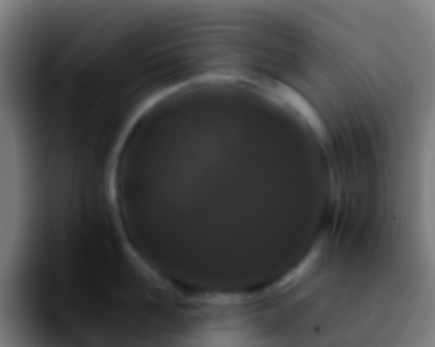 X0000092270958200709211135