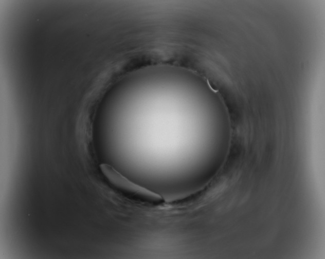 X0000092270961200709211134