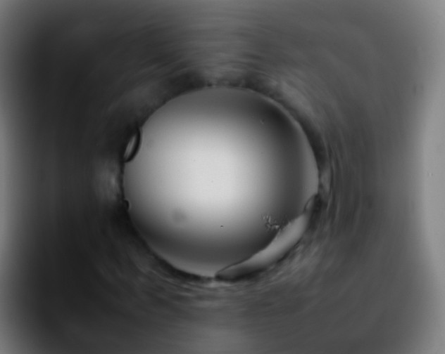 X0000092270963200709211134