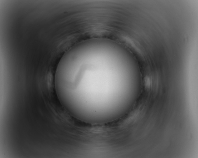 X0000092270964200709211134