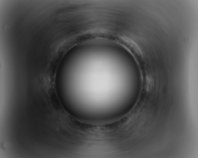 X0000092270966200709211134