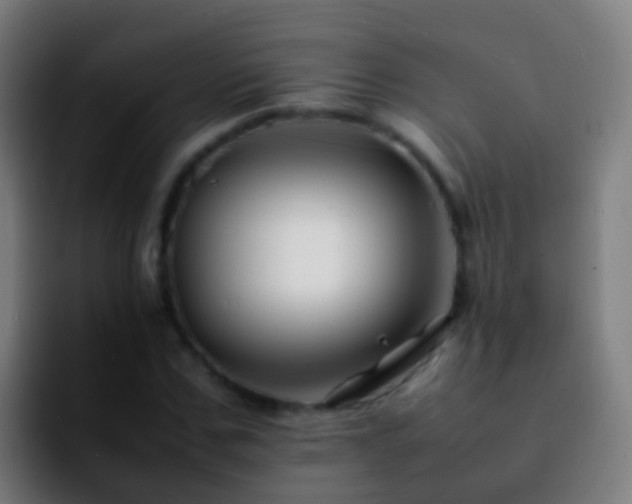 X0000092270971200709211134